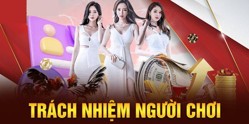 Trách Nhiệm Của Người Chơi – Đọc Kỹ Trước Khi Đồng Ý
